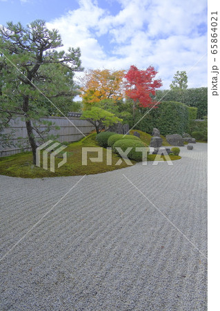大徳寺塔頭  興臨院の紅葉 65864021