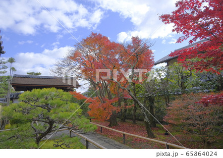 大徳寺塔頭  興臨院の紅葉 65864024