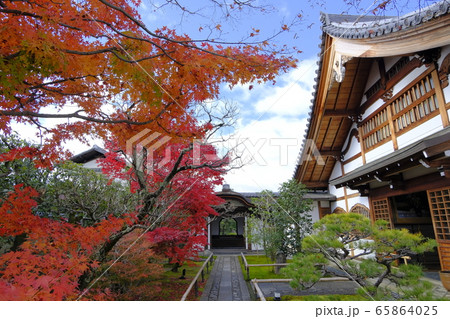 大徳寺塔頭  興臨院の紅葉 65864025