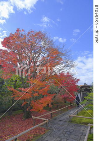 大徳寺塔頭  興臨院の紅葉 65864028