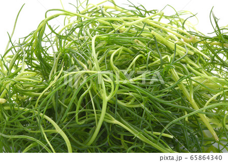 おかひじき 65864340