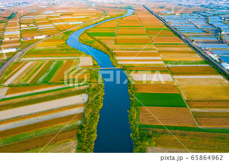 台湾 ご飯 たんぼ 65864962