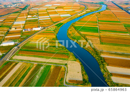 台湾 ご飯 たんぼ 65864963
