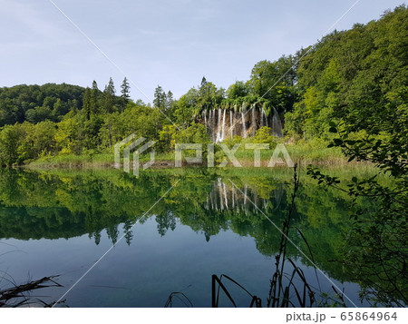 池 薮 自然 65864964