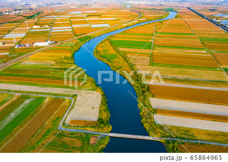 台湾 ご飯 たんぼ 65864965