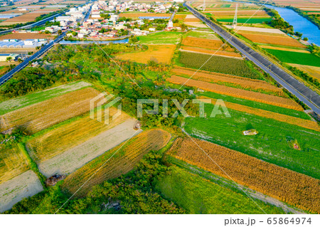 台湾 ご飯 たんぼ 65864974