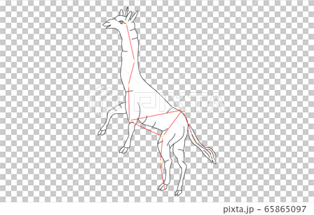 88星座白きりん座 88星座白きりん座 65865097