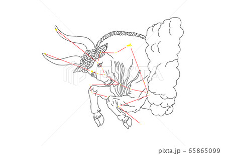 88星座白おうし座 65865099