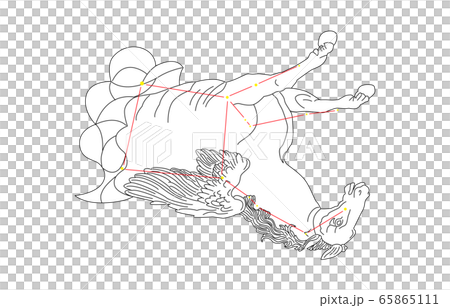 88星座白ペガスス座 65865111