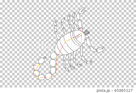 88星座白さそり座 65865127