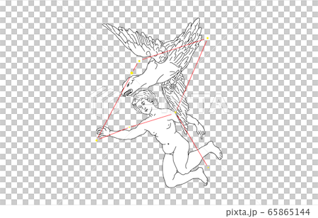 88星座白わし座 65865144