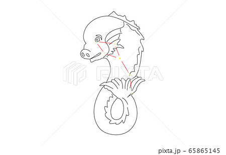 88星座白いるか座 88星座白いるか座 65865145