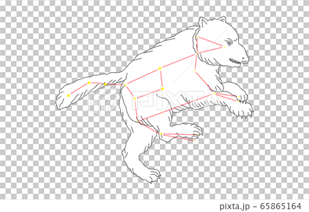 88 constellation Ursa Major 65865164