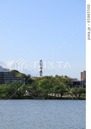 千波湖と水戸芸術館のアートタワー 千波湖と水戸芸術館のアートタワー 65865500