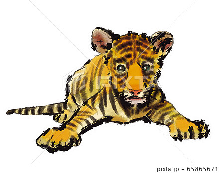 子寅01 子寅01 65865671