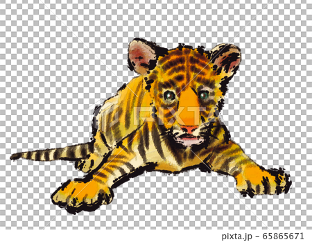 子寅01 子寅01 65865671