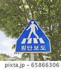 横断歩道 標識 青 65866306