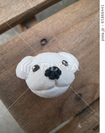 マルチーズ 犬の顔 白い犬 マルチーズ 犬の顔 白い犬 65866441