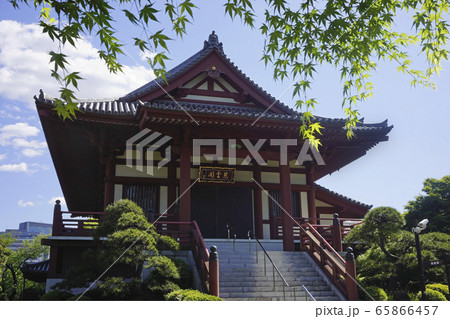 増上寺（慈雲閣） 65866457