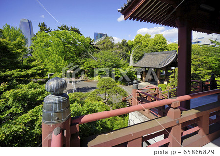 増上寺（慈雲閣からの眺め） 65866829