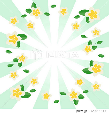 フラッシュとプルメリア 正方形 フラッシュとプルメリア 正方形 65866843