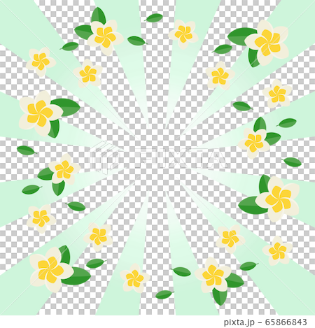 Flash and plumeria square 65866843