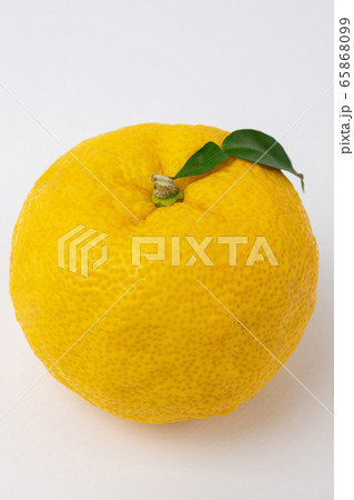 fresh fruit concept. close up of lemons and citrons 005 fresh fruit concept. close up of lemons and citrons 005 65868099