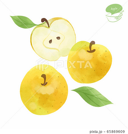 黄色いりんごの水彩イラスト 黄色いりんごの水彩イラスト 65869609