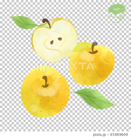 黄色いりんごの水彩イラスト 黄色いりんごの水彩イラスト 65869609