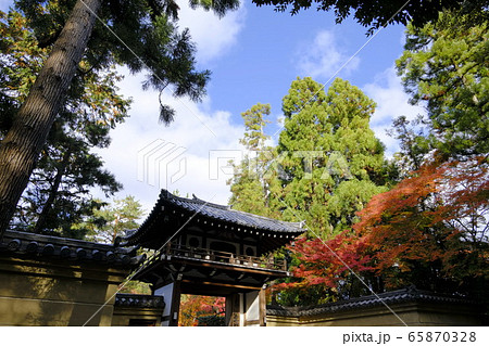大徳寺塔頭 龍翔寺 山門の紅葉 大徳寺塔頭 龍翔寺 山門の紅葉 65870328