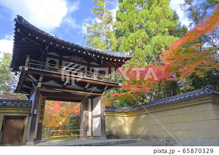 大徳寺塔頭　龍翔寺　山門の紅葉 65870329