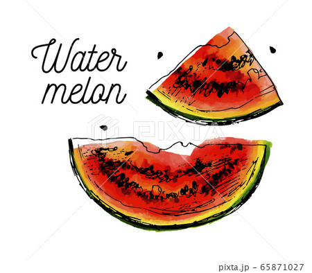 Hello summer slogan Watercolor illustration of 65871027