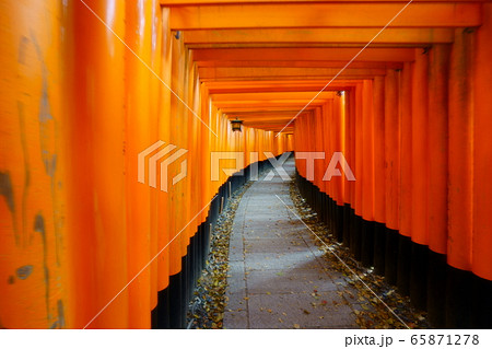 伏見稲荷 65871278