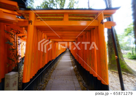 伏見稲荷 65871279