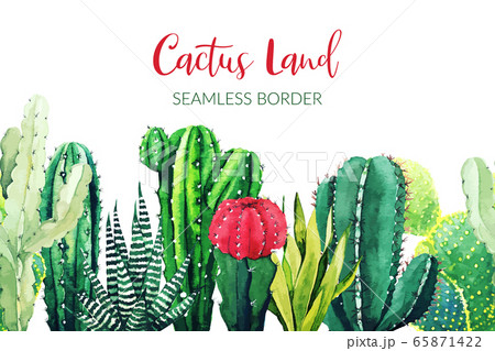 Seamless border composed of watercolor cactus plants 65871422