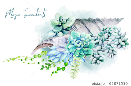 Greeting Card Design With Succulents Growing In のイラスト素材