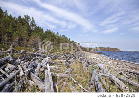 Coast of White sea, northern Russia 65872829