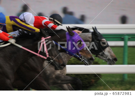 競馬 ゴール前の激戦 競馬 ゴール前の激戦 65872981