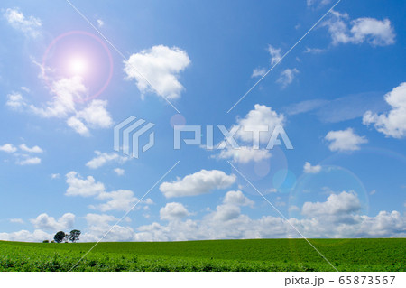 真夏の北海道の大自然 青い空と白い雲のイラスト素材