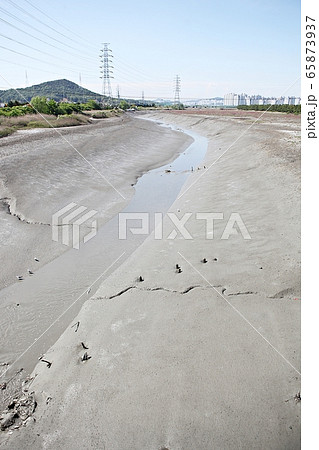 ゲトゴル 干潟 水路 65873937