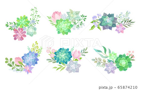 Floral Arrangements with Succulent Echeveria and Branches Vector Set Floral Arrangements with Succulent Echeveria and Branches Vector Set 65874210