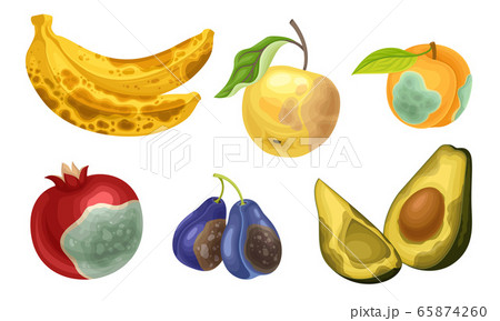 Unfit Fruits with Skin Covered with Stinky Rot Vector Set 65874260
