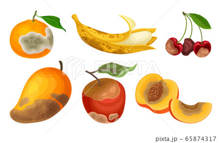 Garden Fruits with Skin Covered with Stinky Rot Vector Set Garden Fruits with Skin Covered with Stinky Rot Vector Set 65874317