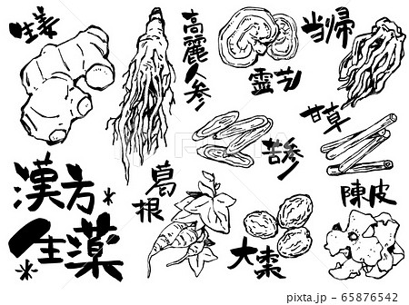 イラスト素材：漢方 生薬 65876542