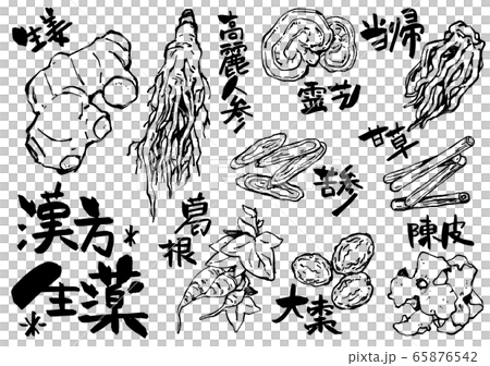 イラスト素材：漢方 生薬 65876542