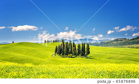 Tuscany at spring Tuscany at spring 65876896