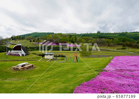 太陽の丘えんがる公園 65877199