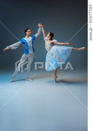Young and graceful ballet dancers as Cinderella fairytail characters. Young and graceful ballet dancers as Cinderella fairytail characters. 65877383