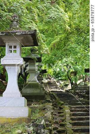 信州の新緑のお寺のもみじ 信州の新緑のお寺のもみじ 65879777