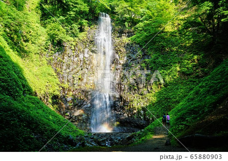 玉簾の滝を眺める人 玉簾の滝を眺める人 65880903